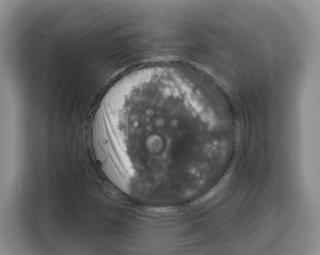 X0000115161257200911241542