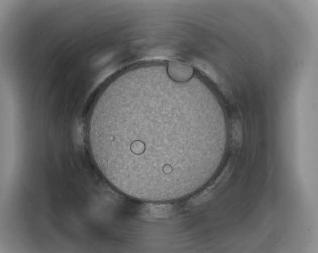 X0000115161258200911241542