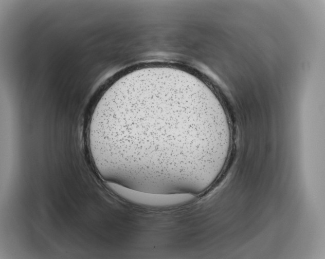 X0000115161259200911241542