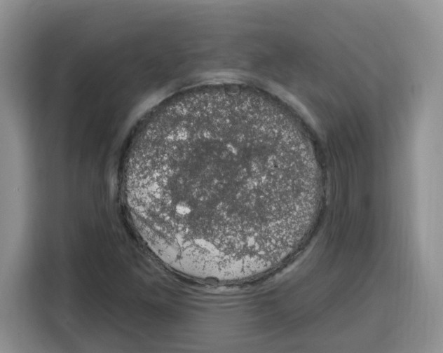 X0000115161261200911241542