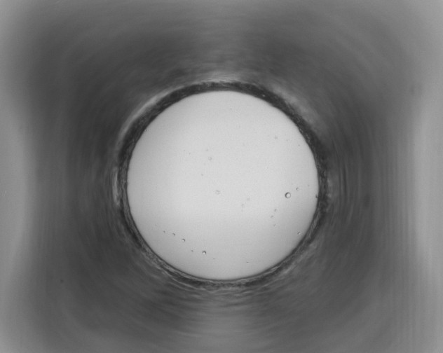 X0000115161262200911241542