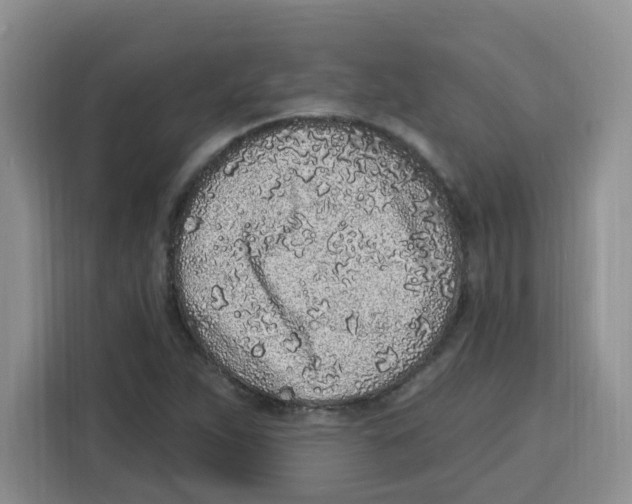 X0000115161263200911241542