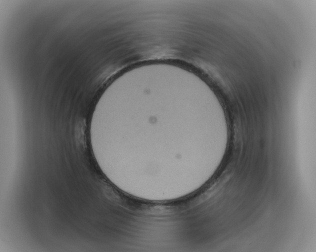 X0000115161265200911241542