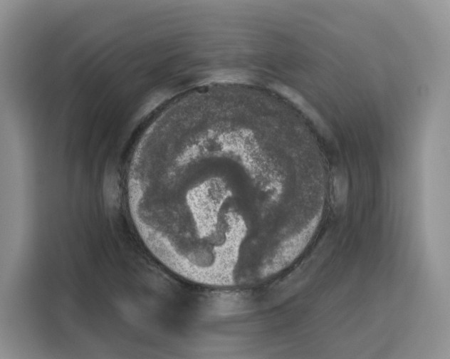 X0000115161266200911241542