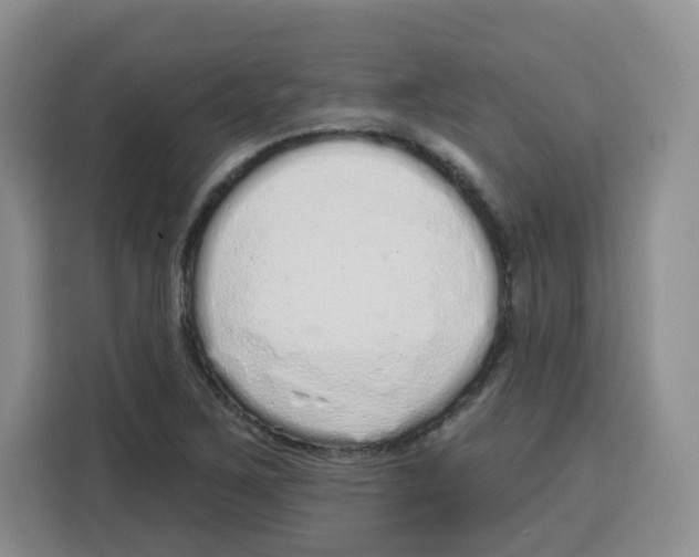 X0000115161267200911241542