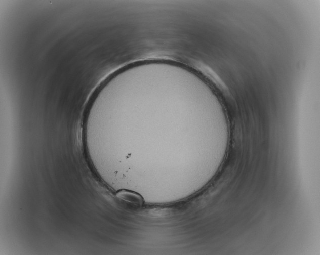 X0000115161268200911241542