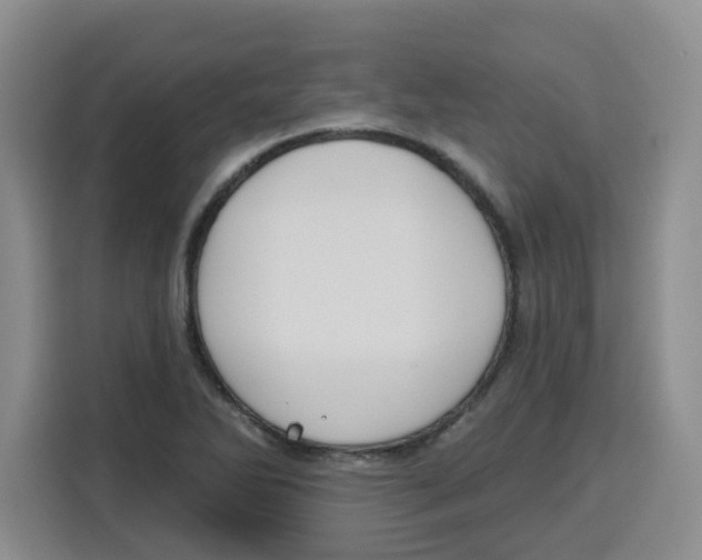 X0000115161270200911241542