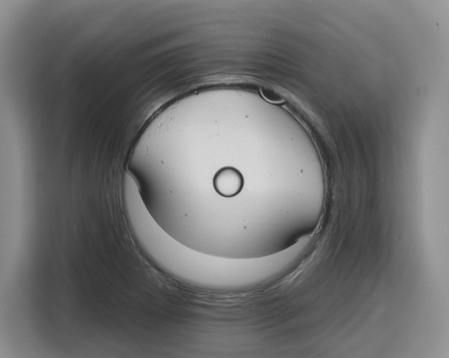 X0000115161273200911241542