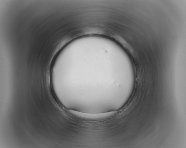 X0000115161274200911241542