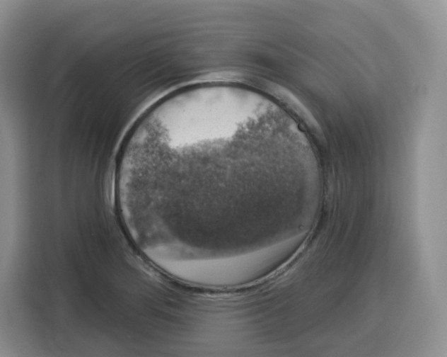 X0000115161276200911241541