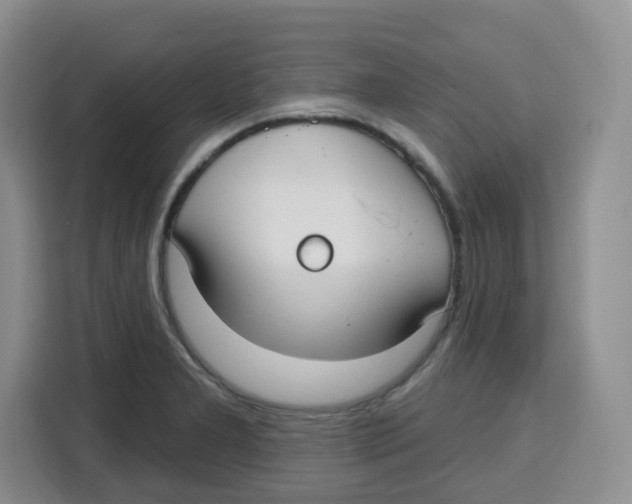 X0000115161277200911241541