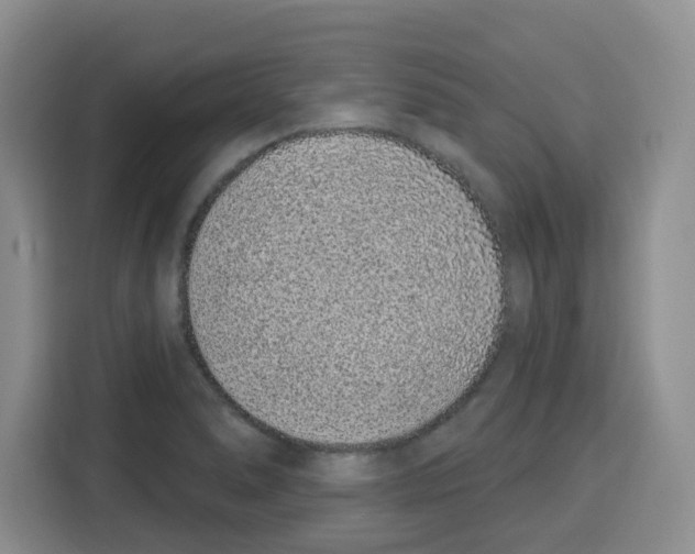 X0000115161278200911241541