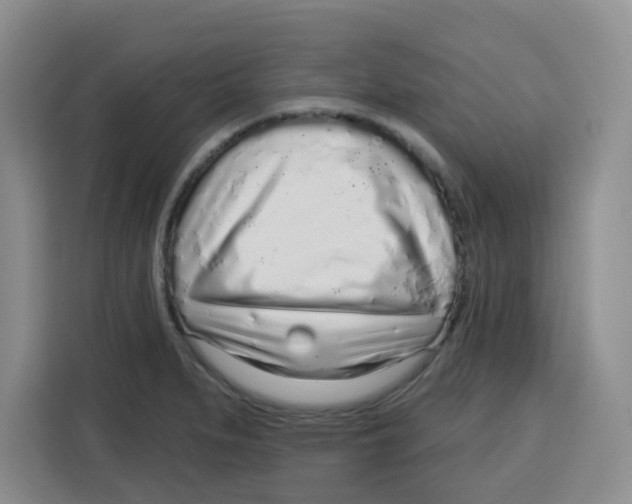 X0000115161279200911241541