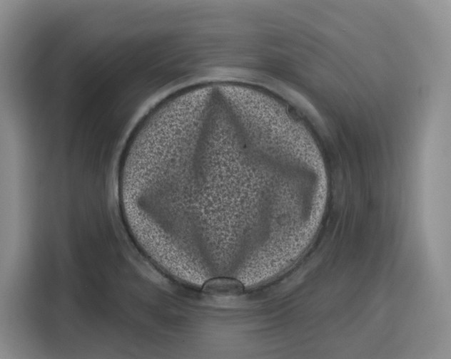 X0000115161280200911241541