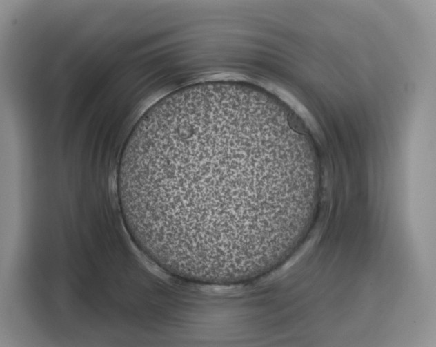 X0000115161281200911241541