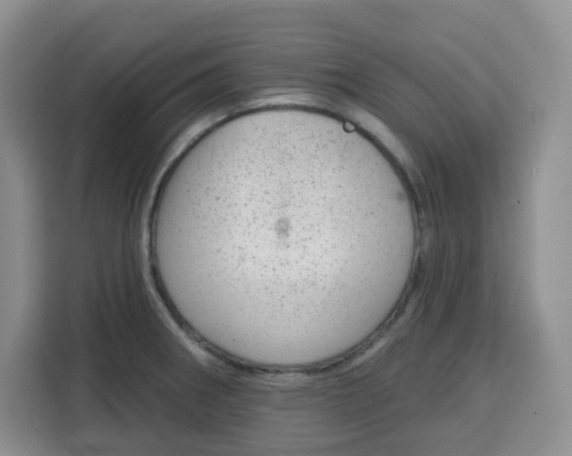 X0000115161282200911241541