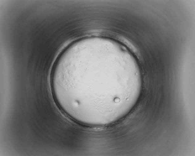 X0000115161283200911241541