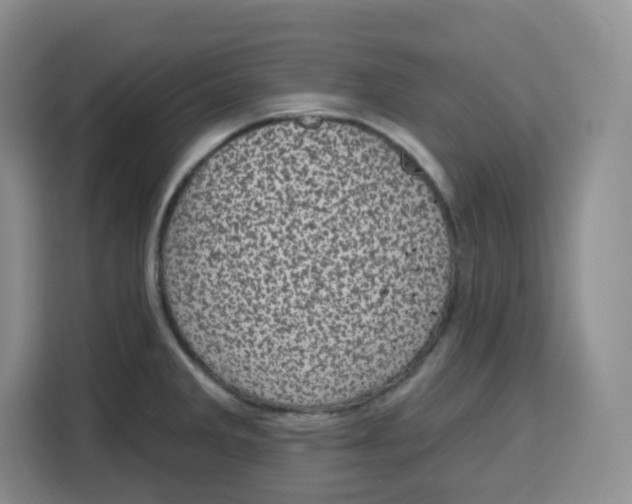 X0000115161285200911241541