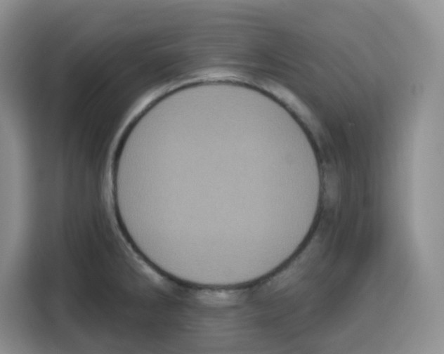 X0000115161286200911241541