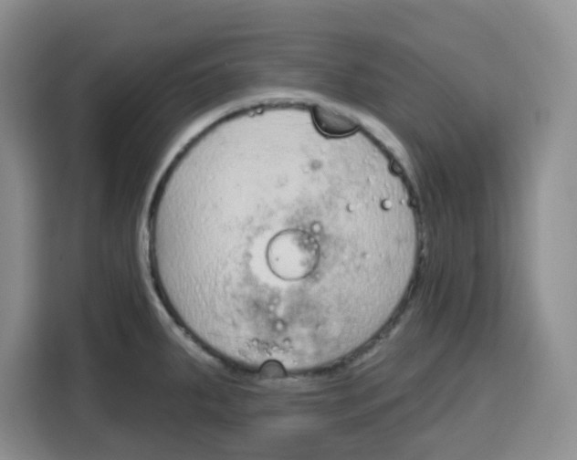 X0000115161287200911241541