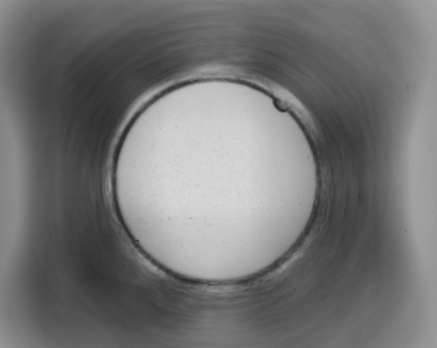 X0000115161288200911241541