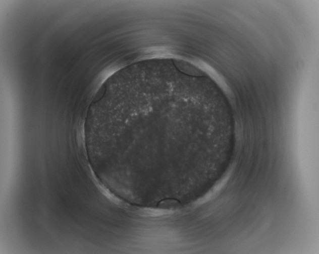 X0000115161289200911241541