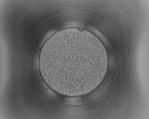 X0000115161290200911241541