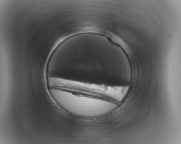 X0000115161291200911241541