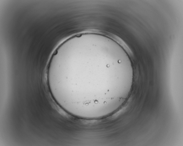 X0000115161292200911241541