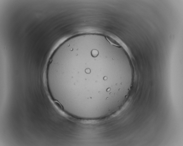 X0000115161293200911241541