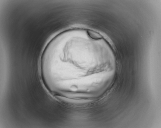 X0000115161295200911241541