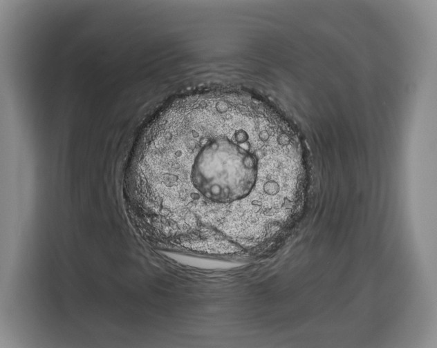 X0000115161297200911241541