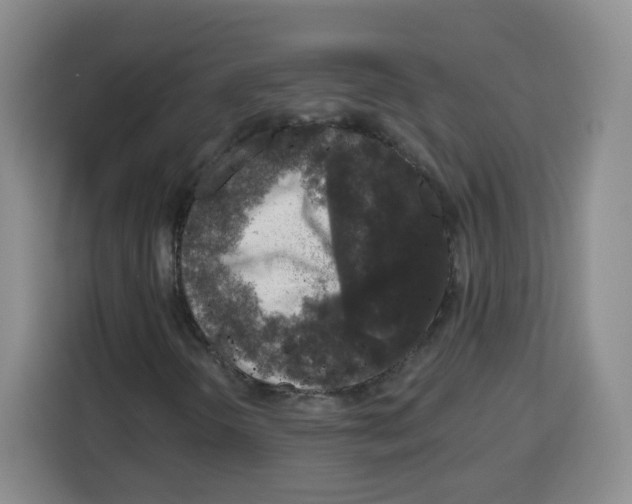 X0000115161298200911241541