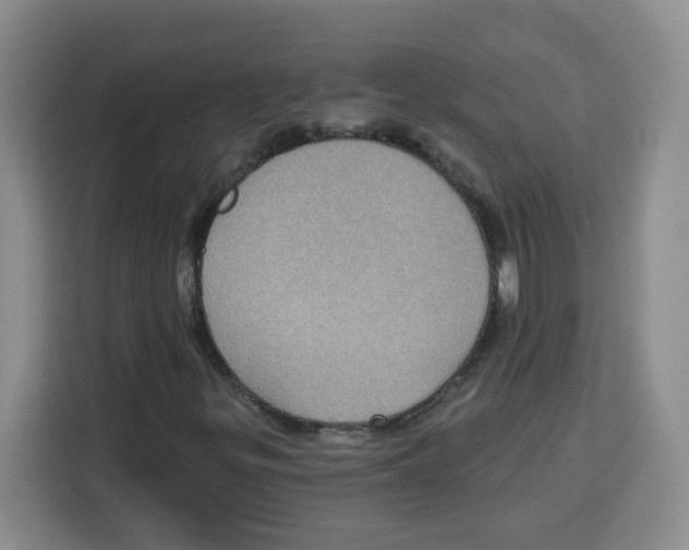 X0000115161299200911241541