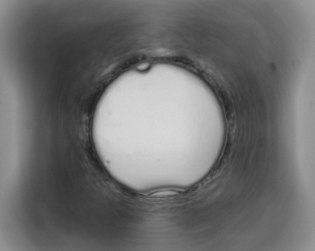 X0000115161301200911241541