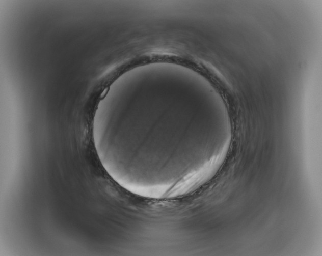 X0000115161303200911241541