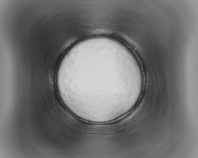 X0000115161305200911241541