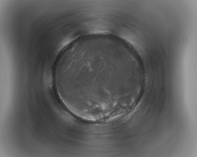 X0000115161306200911241541