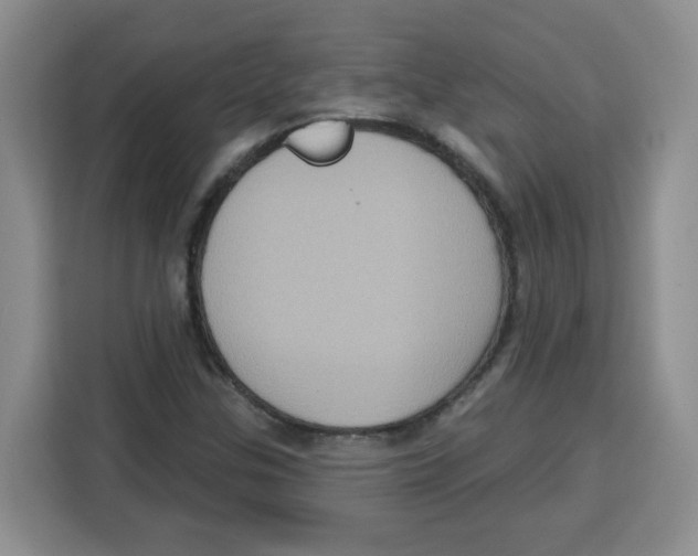 X0000115161307200911241541