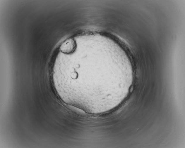 X0000115161309200911241541