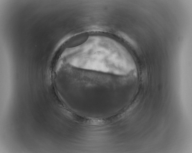 X0000115161310200911241541