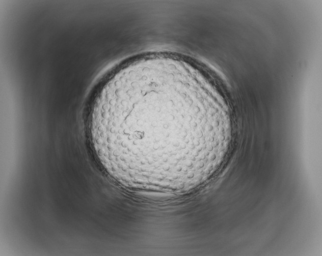 X0000115161311200911241541