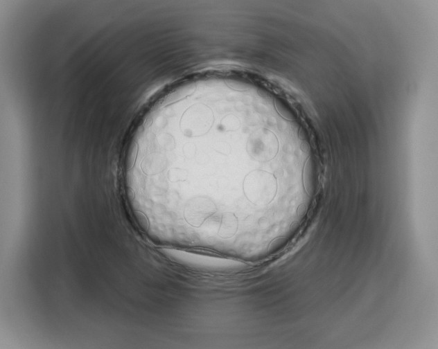 X0000115161313200911241541