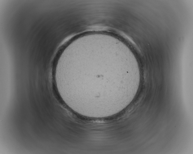 X0000115161315200911241541