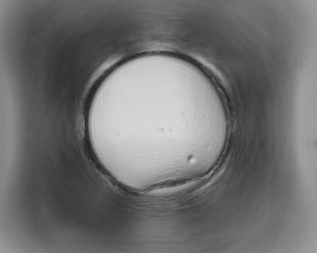 X0000115161317200911241541