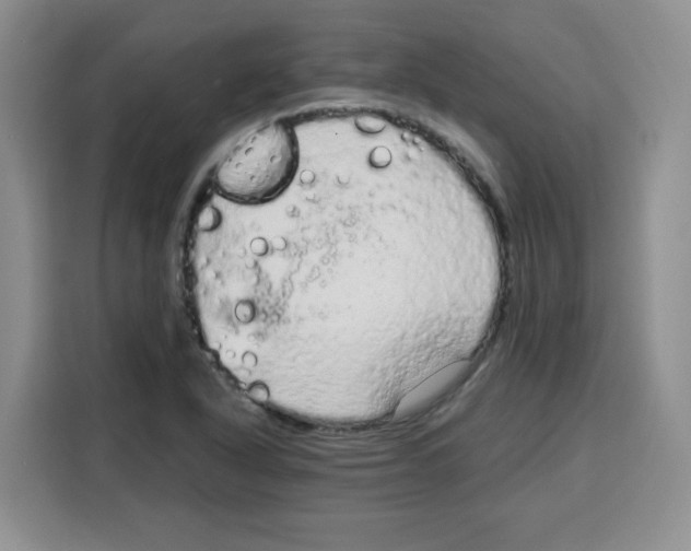 X0000115161318200911241541