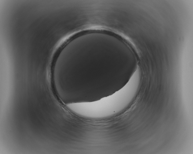 X0000115161319200911241541