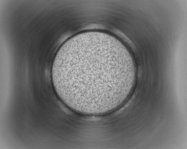 X0000115161321200911241541