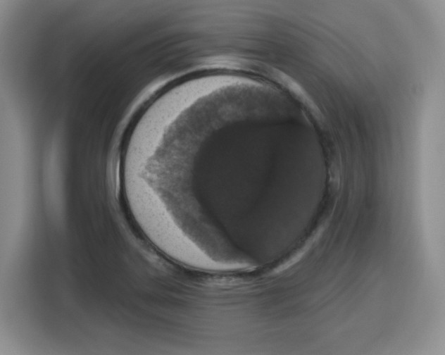 X0000115161323200911241541