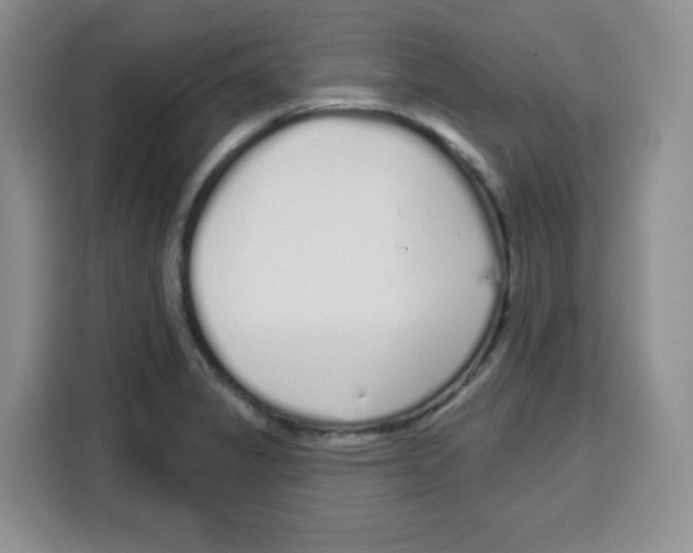 X0000115161325200911241541